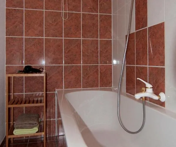 Blumenstein شقة Mülsen